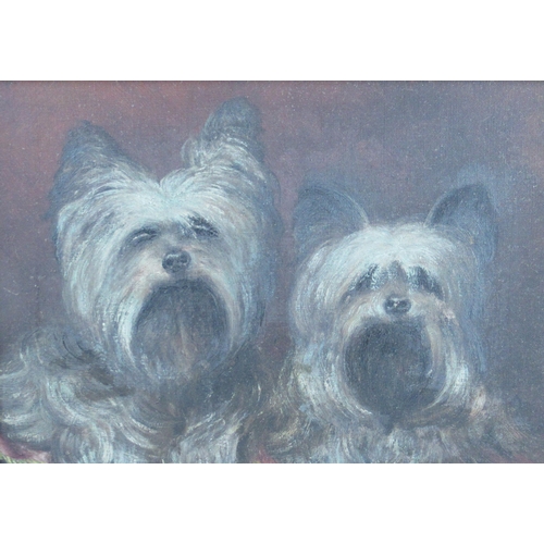 113 - An oil on canvas, portrait of two terriers, 10ins x 13.5ins