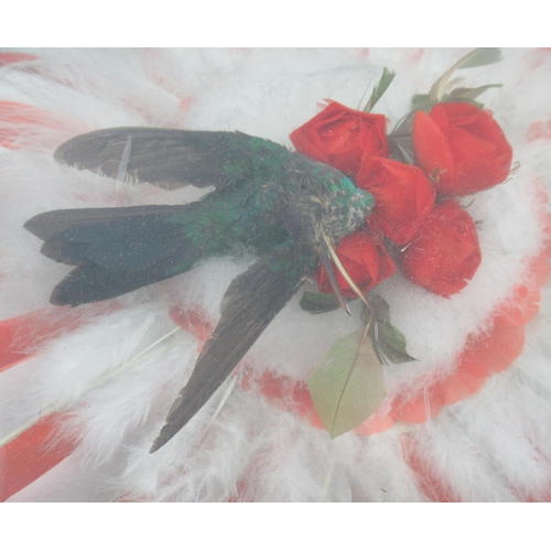 140 - A cased taxidermy bird, together with a feather circular fan mounted with a bird, 18ins x 21ins x 3i... 