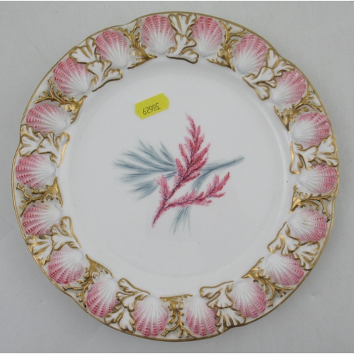 412 - A Royal Worcester plate, decorated with seaweed to the centre with a moulded shell boarder, diameter... 