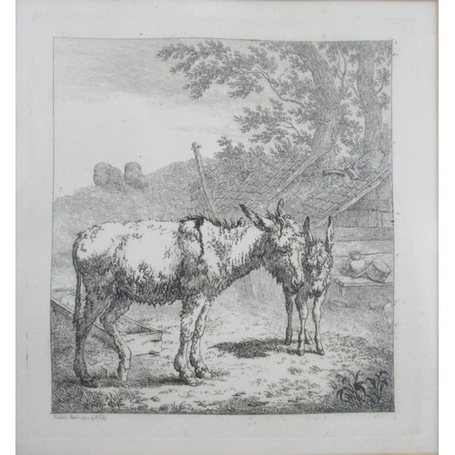 80 - Robert Hills, two etchings, Donkeys, 7ins x 6.5ins