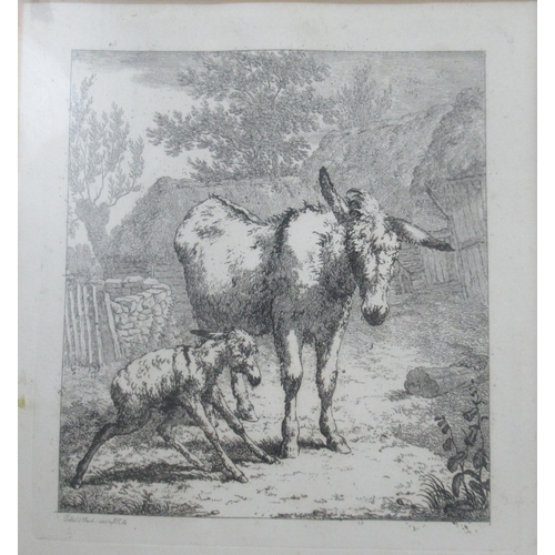 80 - Robert Hills, two etchings, Donkeys, 7ins x 6.5ins