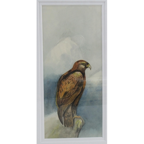 94 - Eldercott, watercolour, study of an Eagle on a rocky outcrop, 8.75ins x 4ins