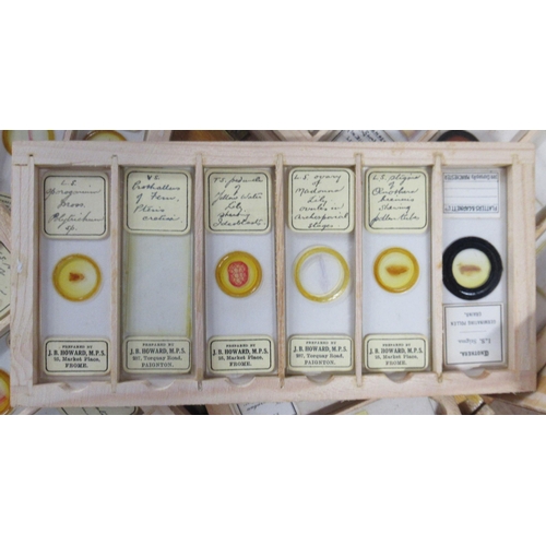 160 - Millikin & Lawley, a box containing a collection of J B Howard glass microscope slides, together wit... 