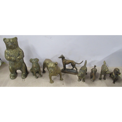 205 - A collection of brass models, to include dogs, a bear and lions