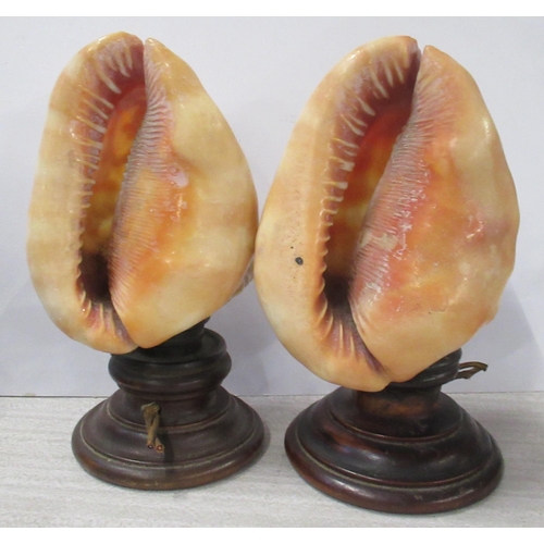 217 - Two carved cameo shells, on wooden stands, height 7.5ins and 8ins