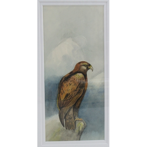 102 - Eldercott, watercolour, study of an Eagle on a rocky outcrop, 8.75ins x 4ins