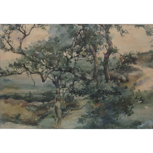 108 - Frederick Shelby, two watercolours, both of trees, 6.5ins x 10ins