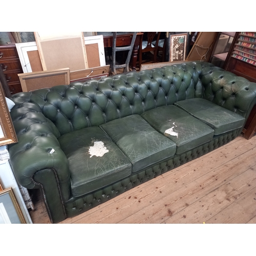 62 - A green leather Chesterfield sofa