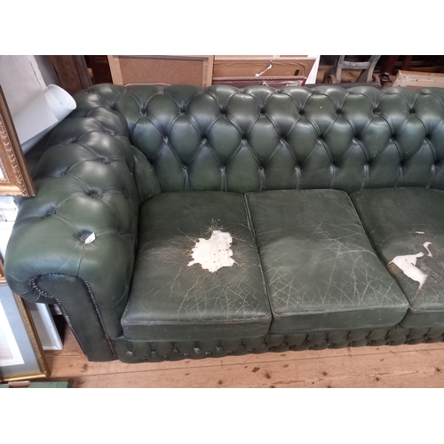 62 - A green leather Chesterfield sofa