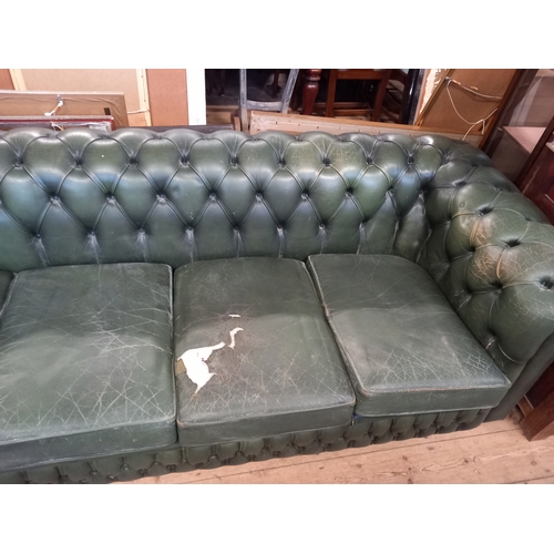 62 - A green leather Chesterfield sofa