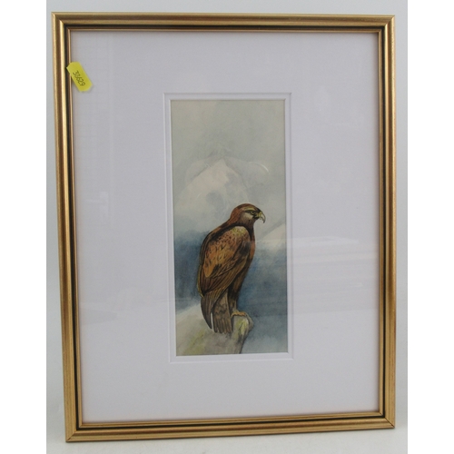 115 - Eldercott, watercolour, study of an Eagle on a rocky outcrop, 8.75ins x 4ins