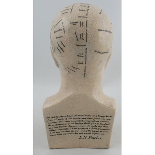 416 - A Phrenology head by L.N.Fowler , height 12ins