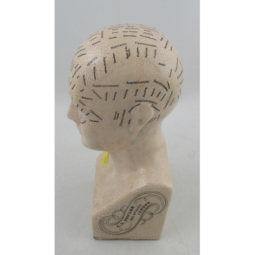 416 - A Phrenology head by L.N.Fowler , height 12ins