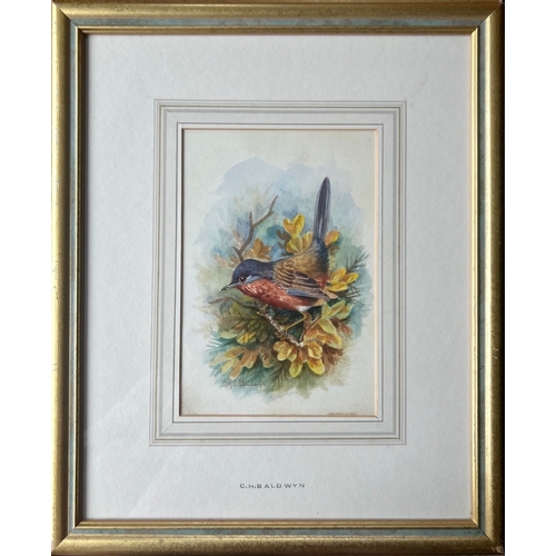 561 - Charles H.C.Baldwyn signed Pair of Vignette Watercolours 7