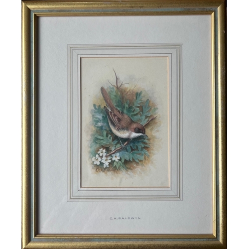 561 - Charles H.C.Baldwyn signed Pair of Vignette Watercolours 7