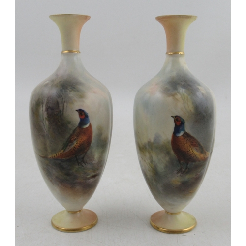 563 - A pair of Royal Worcester vases, decorated with pheasants in a landscape by J Stinton, with blush iv... 