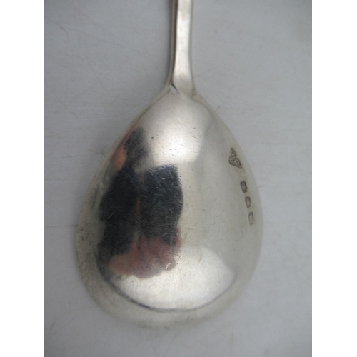 256 - A hallmarked silver commemorative Prince of Wales  Investiture spoon by Garrads & Co London 1969