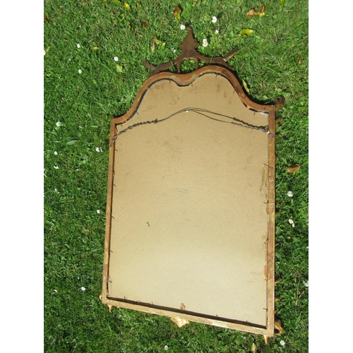 3 - An ornate gilt framed mirror, width 25ins, height 42ins