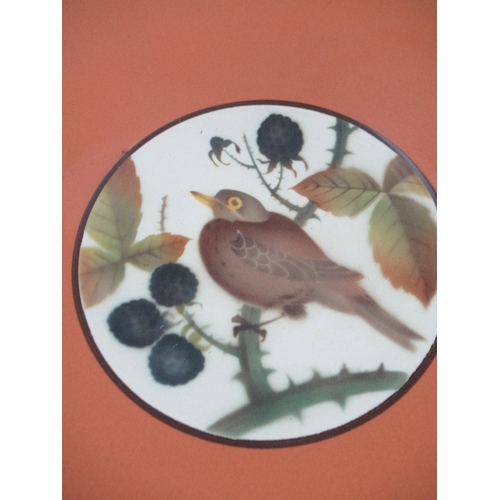 382 - A 20th century Denmark pottery bowl, decorated to the center with a bird, diameter 12.5ins