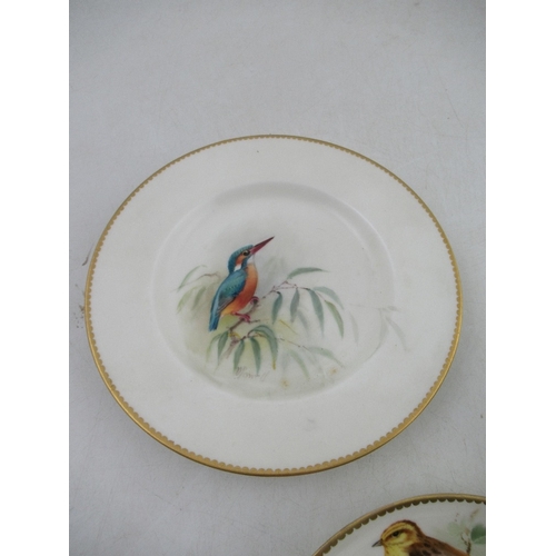 424 - A Royal  Worcester tea cup decorated with a robin by Powell , a  saucer decorated with a Yellow Bunt... 