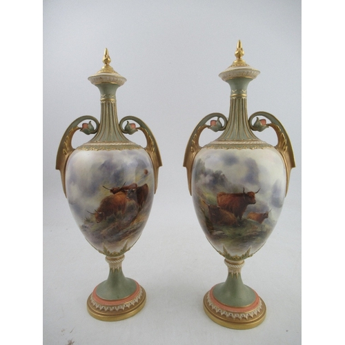 467 - A pair of Royal Worcester covered vases, decorated with Highland Cattle in landscape to the front an... 