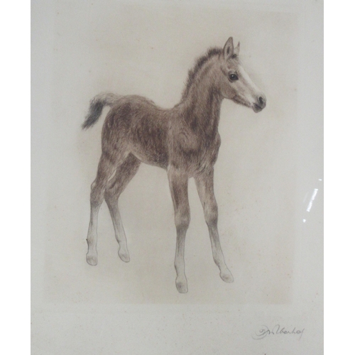 168 - Four pictures, to include a watercolour of dogs and a print of a foal