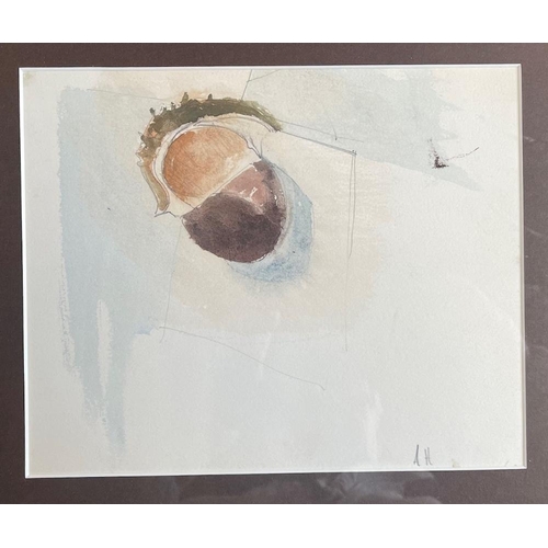 171B - Adrian Heath, mixed media on paper, still life study of a horse chestnut, 7.5ins x 9ins (D)