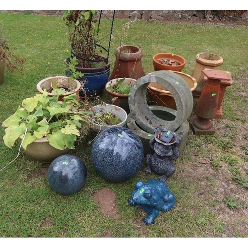 43A - A large collection of assorted garden pots and plants to include frog ornaments