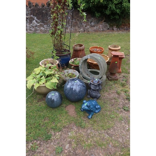 43A - A large collection of assorted garden pots and plants to include frog ornaments