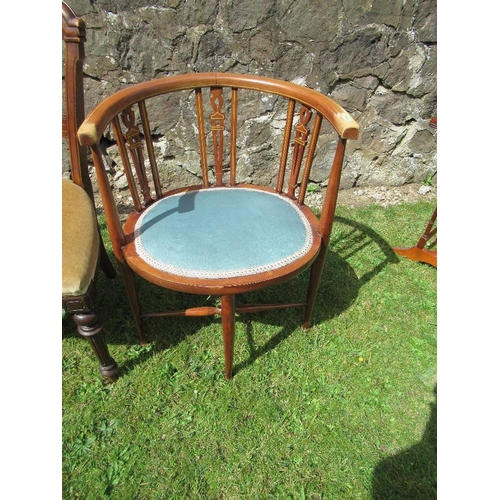 67 - An Edwardian tub chair and a directors chair and two other chairs