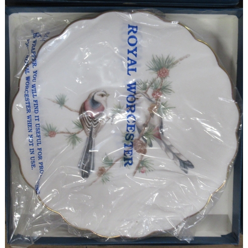 252 - The Birds of Dorothy Doughty, 8 dessert plates, boxed