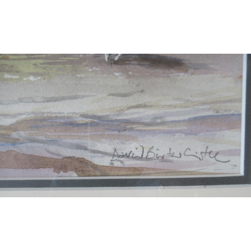 335 - David Birtwhistle, watercolour, Morning Flock Redmarley D'Abitot, 10ins x 14ins together with anothe... 