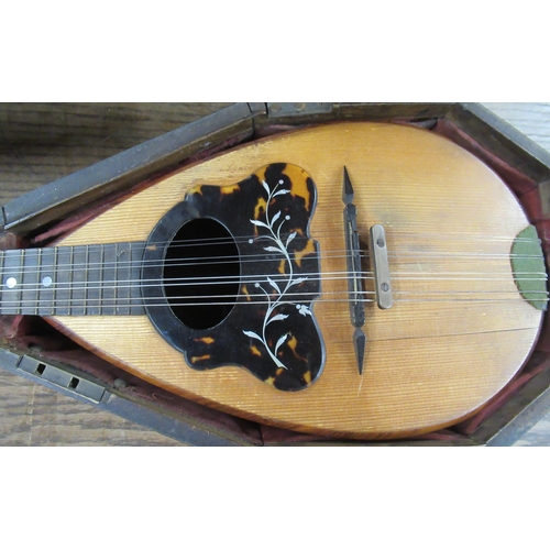 348 - A mandolin, with mahogany case