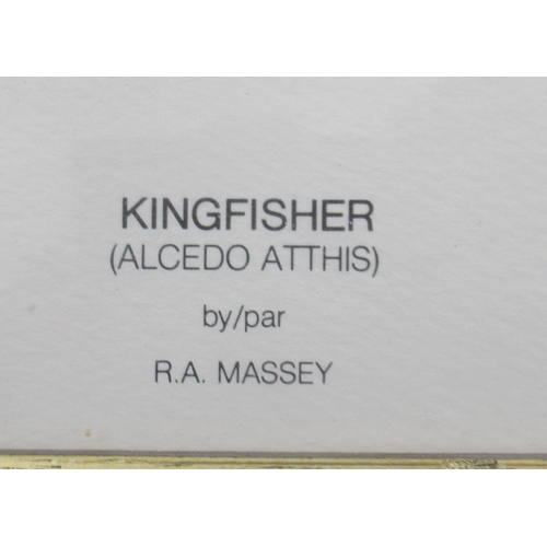 133 - Robert A Massey, Kingfisher print, 7ins x 5ins