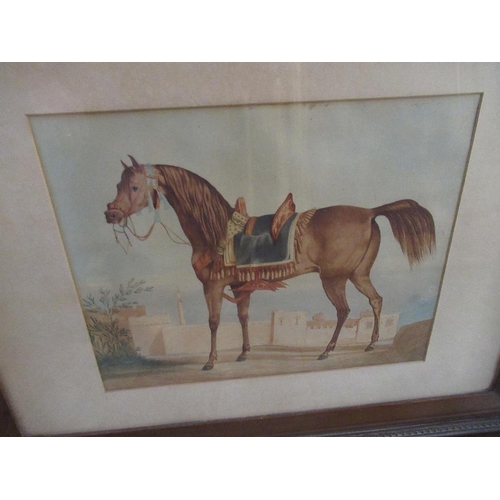 167 - A 19th century gilt framed watercolour, of an Arabian horse in full harness standing in front of a w... 