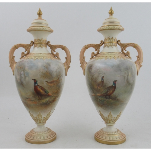 537 - A pair of Royal Worcester covered vases, decorated with pheasants in a landscape by James Stinton, s... 