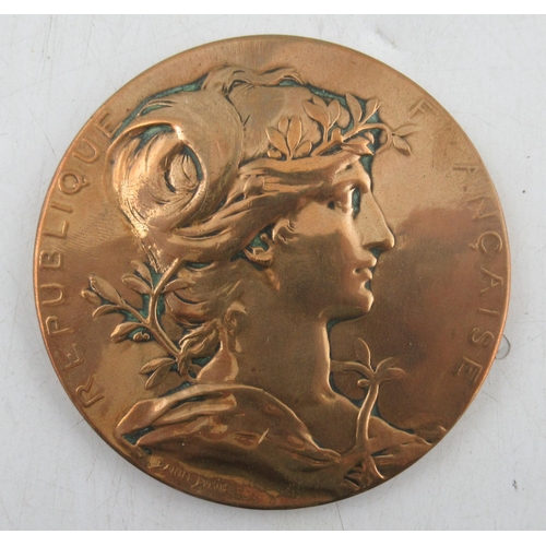 290 - An 1889 Paris Exhibition medal