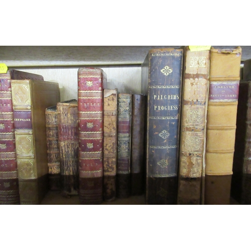 341 - A collection of leather bound books