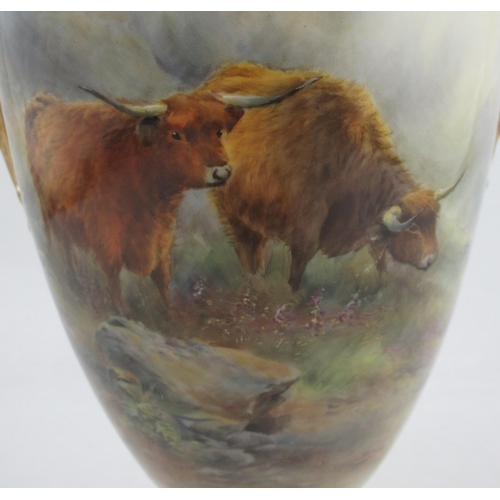 488 - A Royal Worcester covered two handled vase, painted with Highland cattle by J Stinton, with a vignet... 