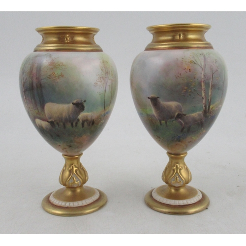 494 - A pair of Royal Worcester pedestal vases, decorated with sheep in a spring woodland with bluebells a... 