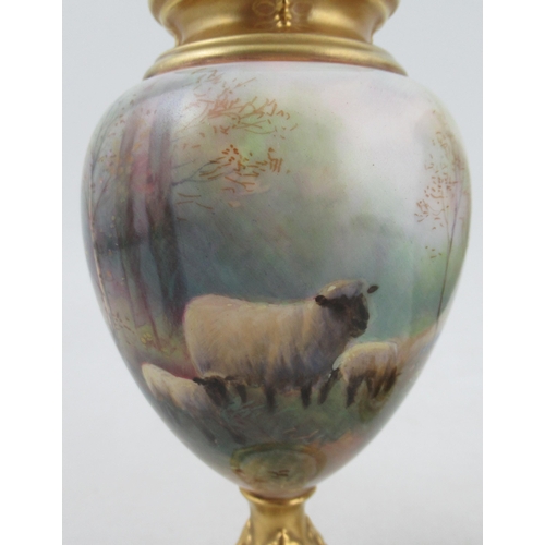 494 - A pair of Royal Worcester pedestal vases, decorated with sheep in a spring woodland with bluebells a... 