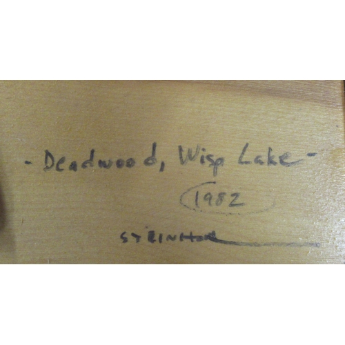 116 - Bruce Steinhoff, oil on board, Dead Wood Wisp Lake, 8.5ins x 11ins