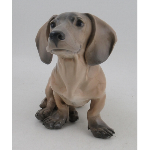 144 - A Royal Copenhagen very rare model, of a Dachshund, No 1238 /850, made 1939, 12ins long, 9ins high