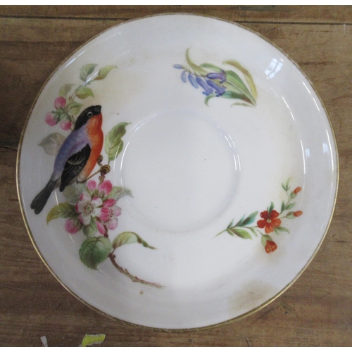 151 - A Royal Worcester cup and saucer, decorated with birds by Powell, together with a Royal Worcester mo... 