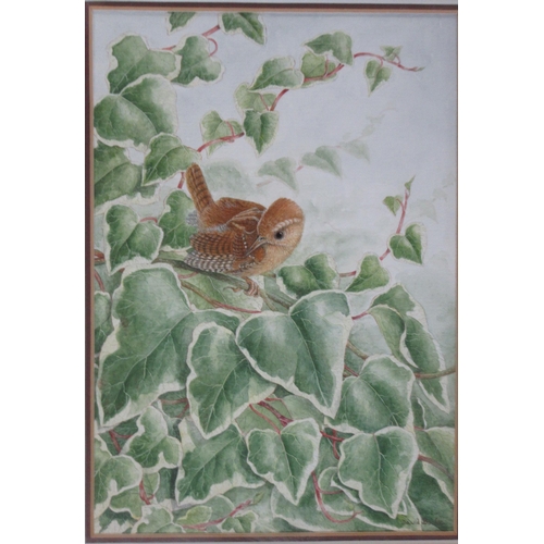 213 - David Buckle, two watercolours, field mouse and bird, ex Royal Worcester porcelain artist