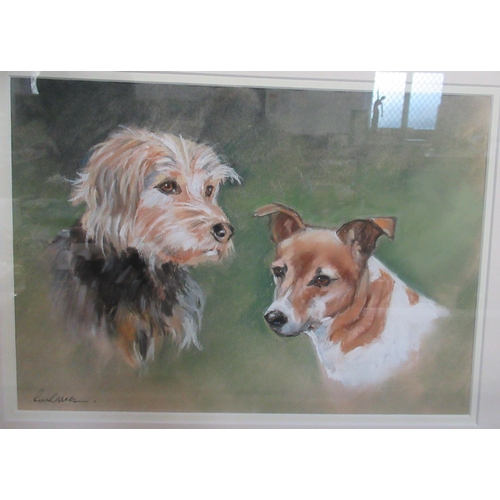 414 - A collection of prints and pictures to include portrait of a dog, Gill Evans etc