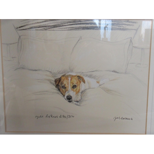 414 - A collection of prints and pictures to include portrait of a dog, Gill Evans etc