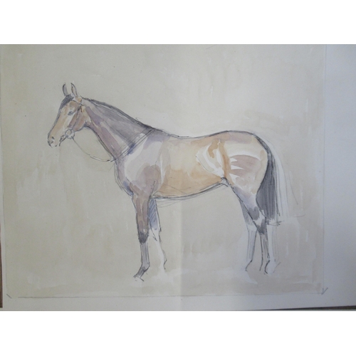 80 - Two watercolours of thoroughbred horses, one with jockey up, both unframed