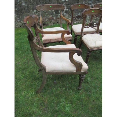 36 - A set of 8 ( 6+2) 19th century mahogany bar back dining chairs some stamped TC to the base