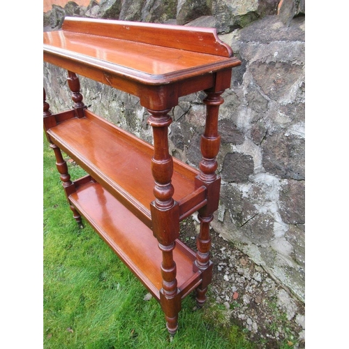 47 - A 19th century mahogany narrow what not width 41ins, depth 10ins, height 45ins